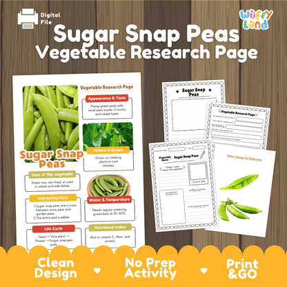 Sugar Snap Peas Vegetable Research Worksheets and Informational Fact Sheets
