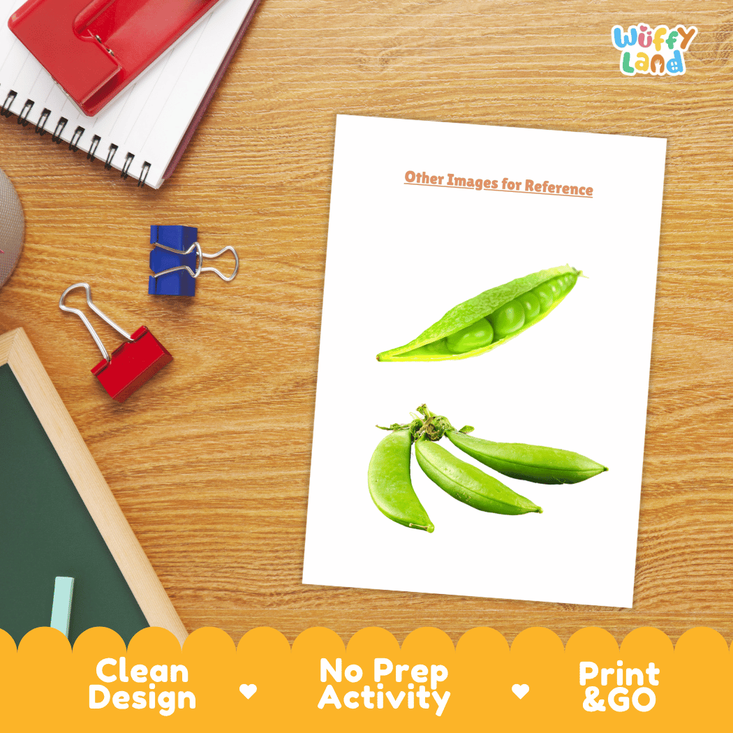 Sugar Snap Peas Vegetable Research Worksheets and Informational Fact Sheets