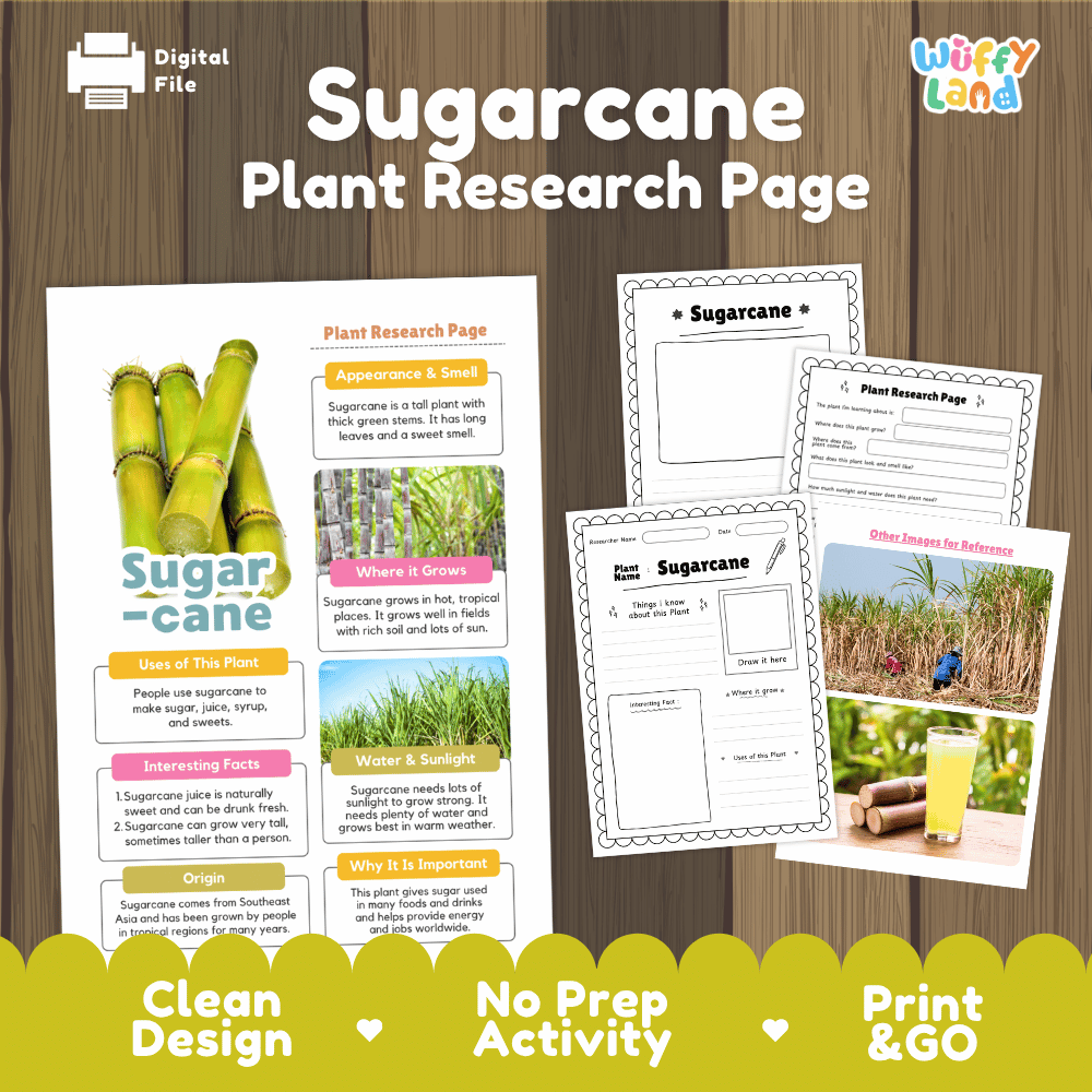 Sugarcane Plant Research Page Worksheets and Fact Sheet Activity