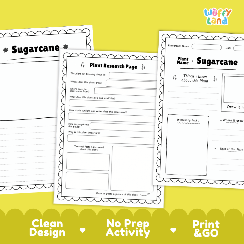 Sugarcane Plant Research Page Worksheets and Fact Sheet Activity