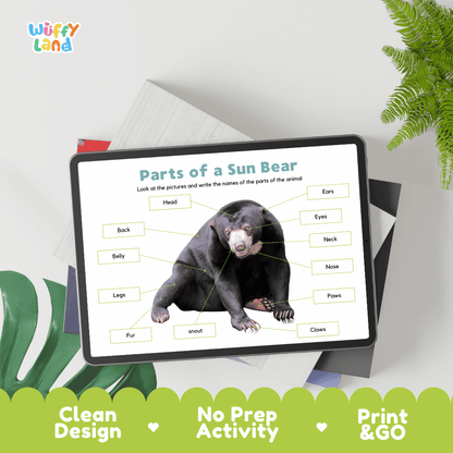 Hands-on sun bear anatomy cut and paste worksheet with printable word tags, callout pointer lines, and scissors graphic