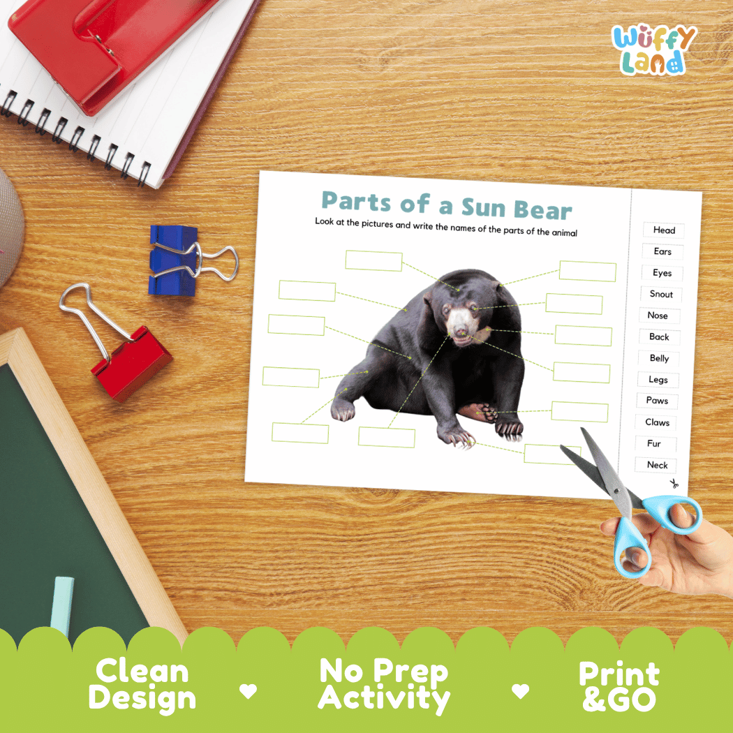 Differentiated sun bear body parts labeling worksheets featuring fill-in write-in boxes and vocabulary word bank