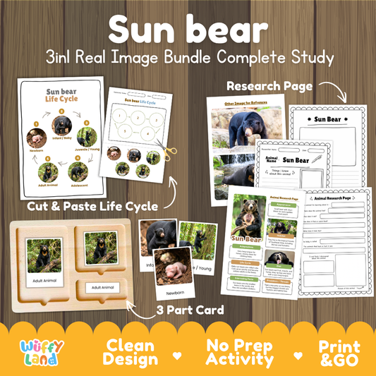 Sun bear 3-in-1 real image bundle complete study cover showing cut and paste life cycle, 3 part cards, and research pages