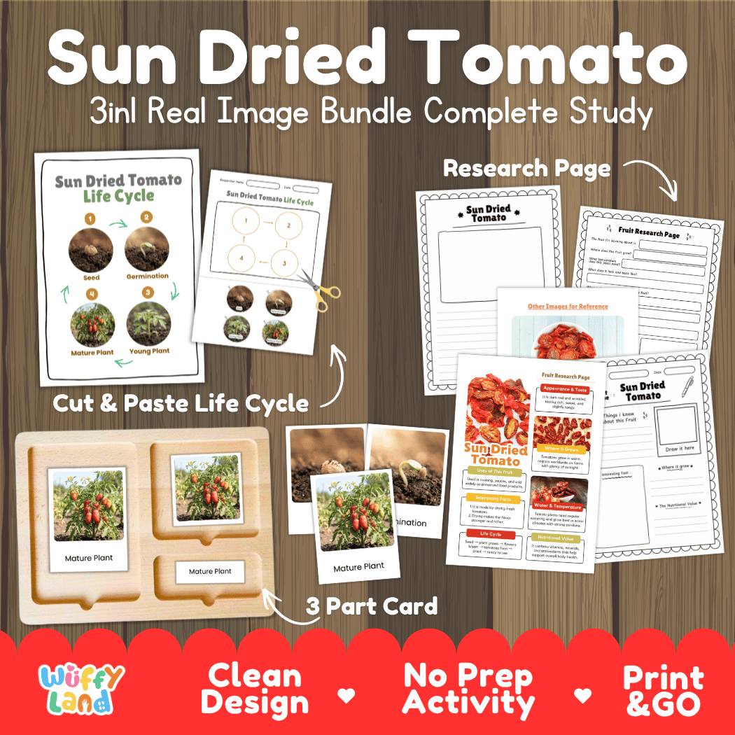 Complete Sun Dried Tomato 3-in-1 real image study bundle featuring cut and paste worksheets, Montessori 3-part cards, and research pages 🍅🌱