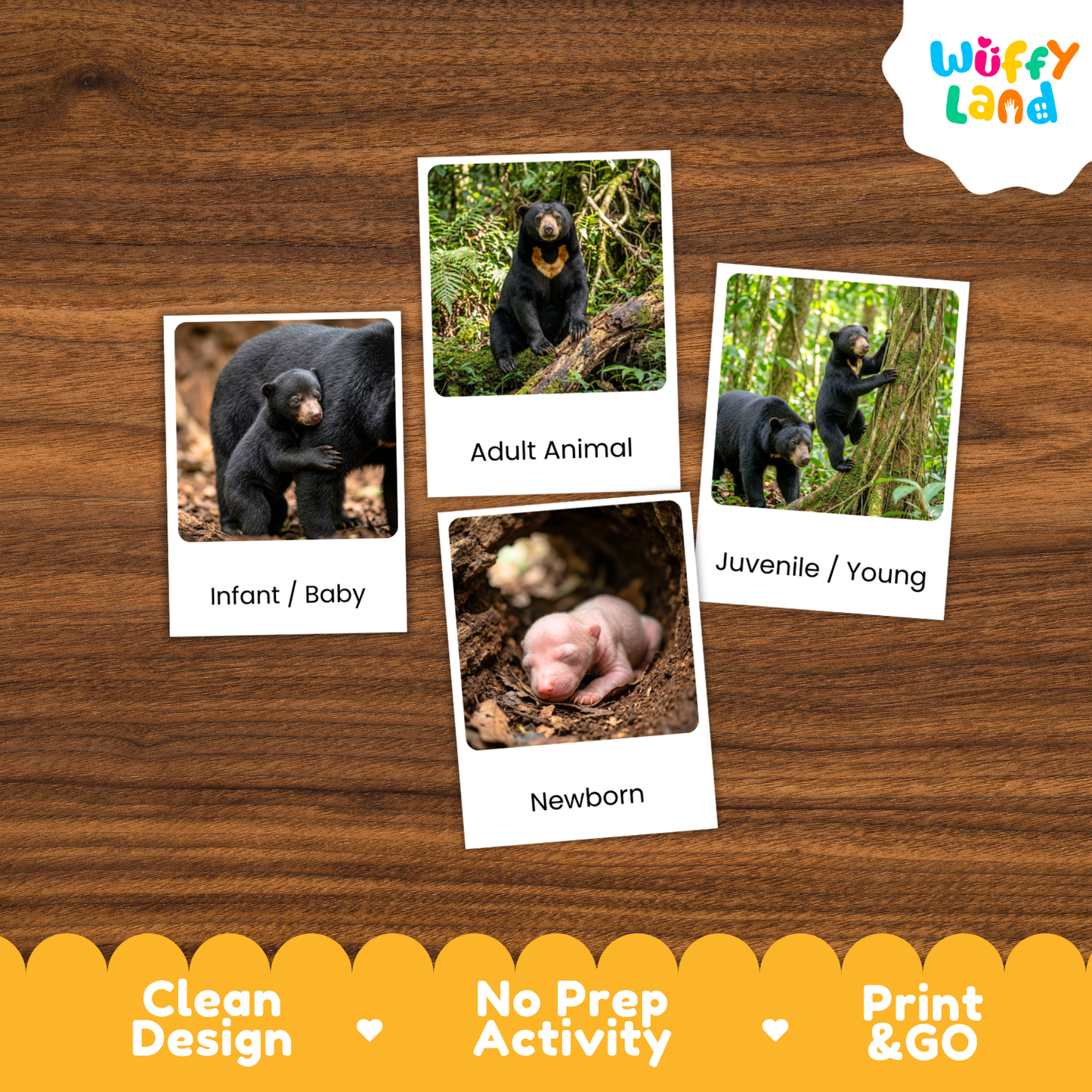 Four educational animal identification cards showing black bear stages (Infant/Baby, Adult Animal, Juvenile/Young, and Newborn) arranged on a brown wood-grain background. The 'Wuffy Land' brand logo is visible in the top right corner.