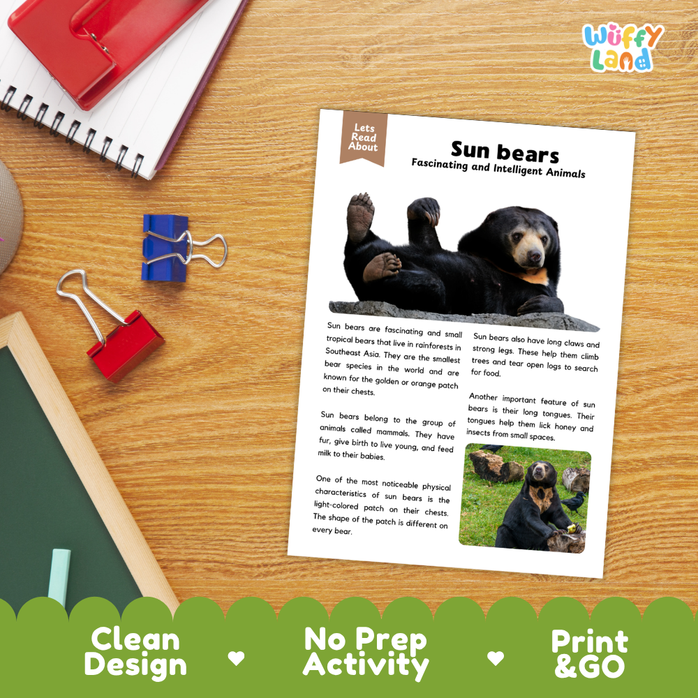 A children's educational activity sheet titled 'Sun bears' laid on a wooden desk, with a spiral notebook, binder clips, and a red folder nearby. The sheet includes text about sun bears and two bear photos.