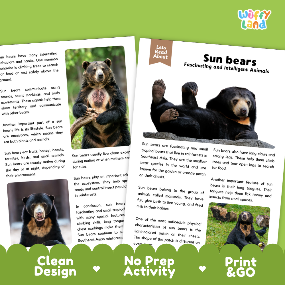 Sun Bear Reading Passage and Comprehension Questions Worksheets with Answer Key