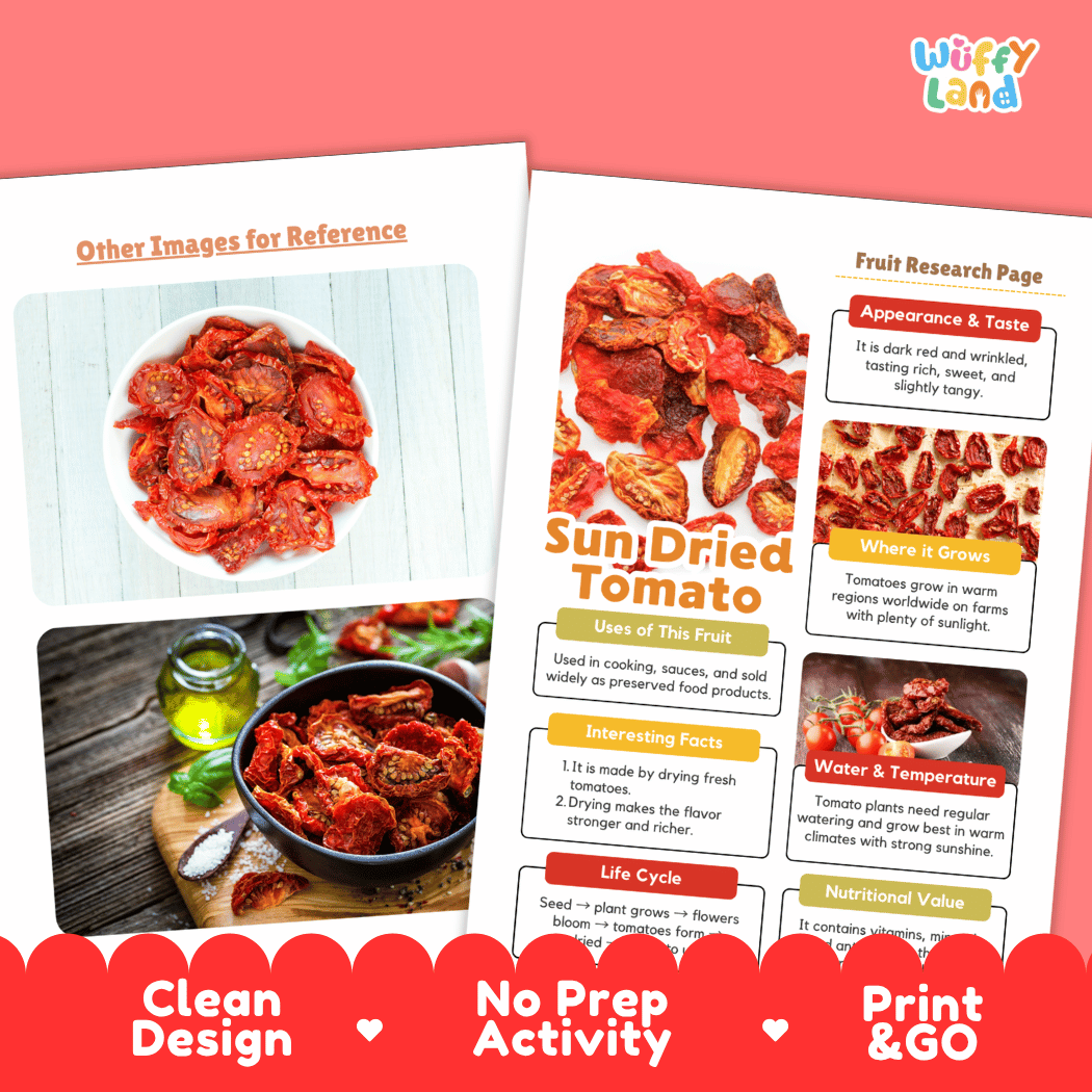Sun Dried Tomato Fruit Research Page Worksheets and Fact Sheet