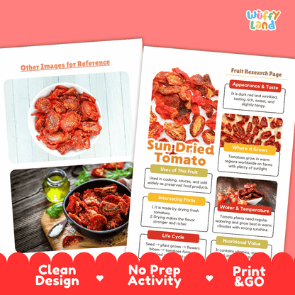 Sun Dried Tomato Fruit Research Page Worksheets and Fact Sheet