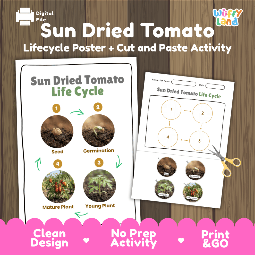 Sun Dried Tomato Life Cycle Poster and Cut and Paste Activity Worksheets