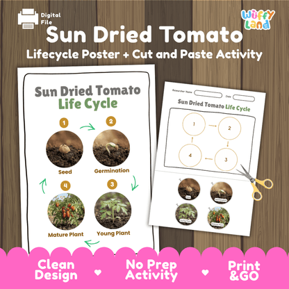 Sun Dried Tomato Life Cycle Poster and Cut and Paste Activity Worksheets