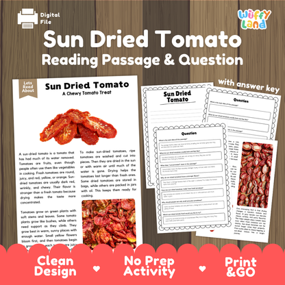 Sun Dried Tomato Reading Passage and Comprehension Questions with Answer Key Worksheets