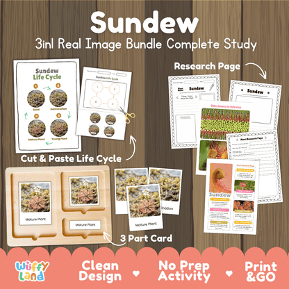 Sundew plant 3in1 real image bundle complete study printable featuring life cycle cut and paste worksheets, Montessori 3-part cards, and research pages