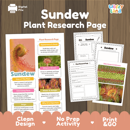 Sundew Plant Research Pages and Worksheets