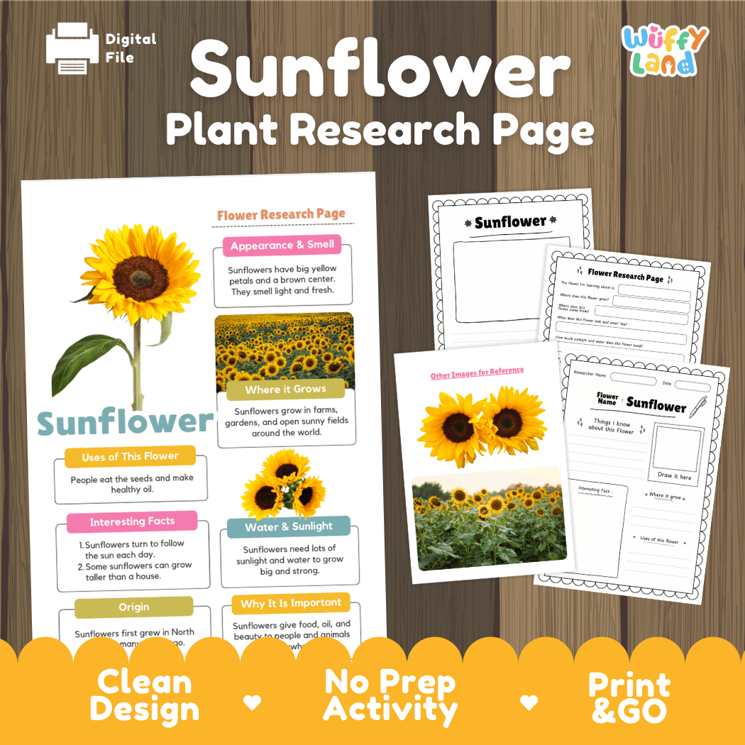 Sunflower Plant Research Page and Worksheets Print and Go Activity