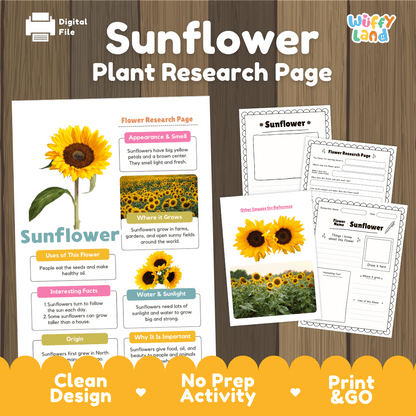 Sunflower Plant Research Page and Worksheets Print and Go Activity