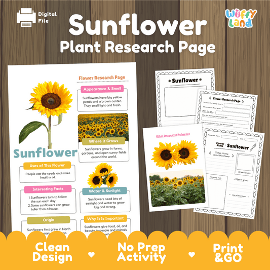 Student flower research page writing worksheets with real blooming yellow sunflower heads and expansive sunny field photos, lined note-taking prompts, and drawing frames