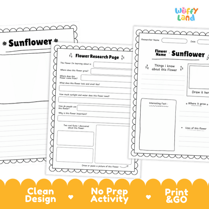 Sunflower Plant Research Page and Worksheets Print and Go Activity