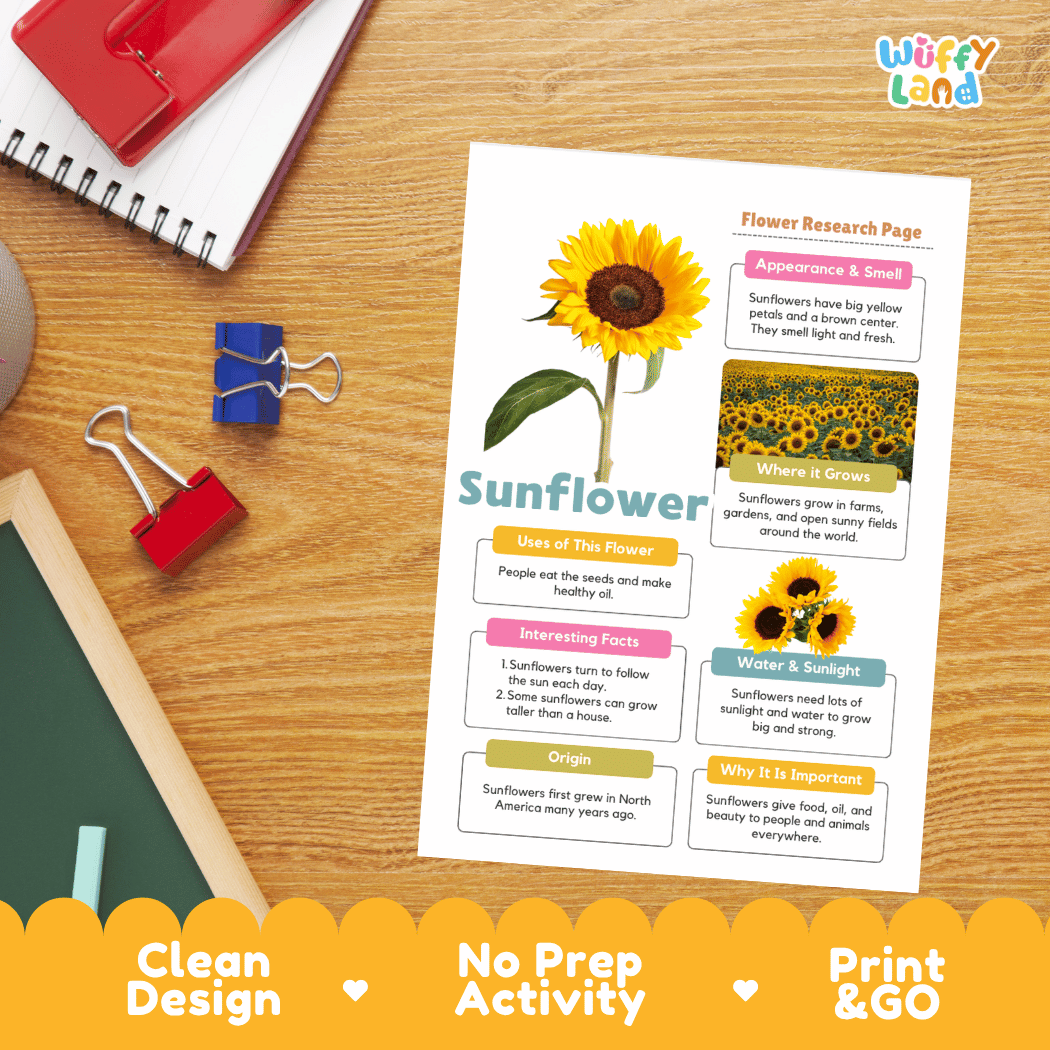 Sunflower Plant Research Page and Worksheets Print and Go Activity