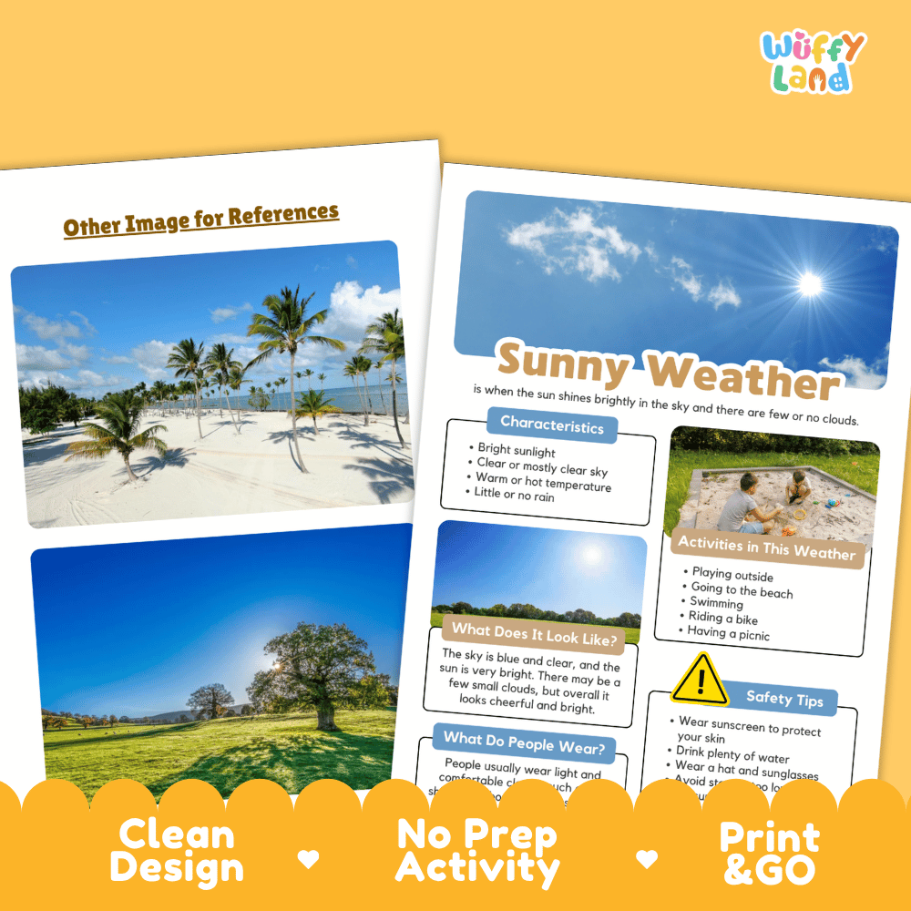 Sunny Weather Research Worksheets and Informational Fact Sheets