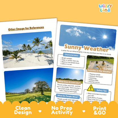 Sunny Weather Research Worksheets and Informational Fact Sheets