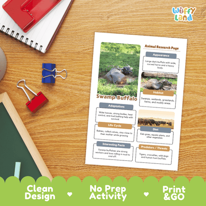 Swamp Buffalo Animal Research Worksheets and Informational Fact Sheets