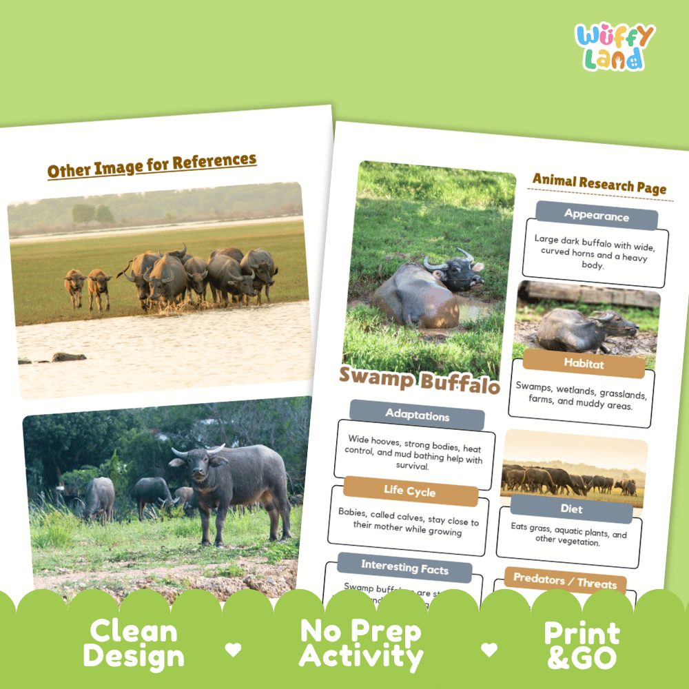 Swamp Buffalo Animal Research Worksheets and Informational Fact Sheets