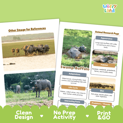 Swamp Buffalo Animal Research Worksheets and Informational Fact Sheets
