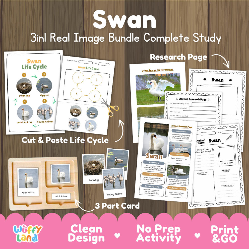 Swan 3-in-1 real image bundle complete study cover showing cut and paste life cycle, 3 part cards, and research pages
