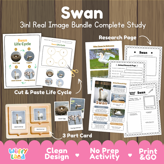 Swan 3-in-1 real image bundle complete study cover showing cut and paste life cycle, 3 part cards, and research pages