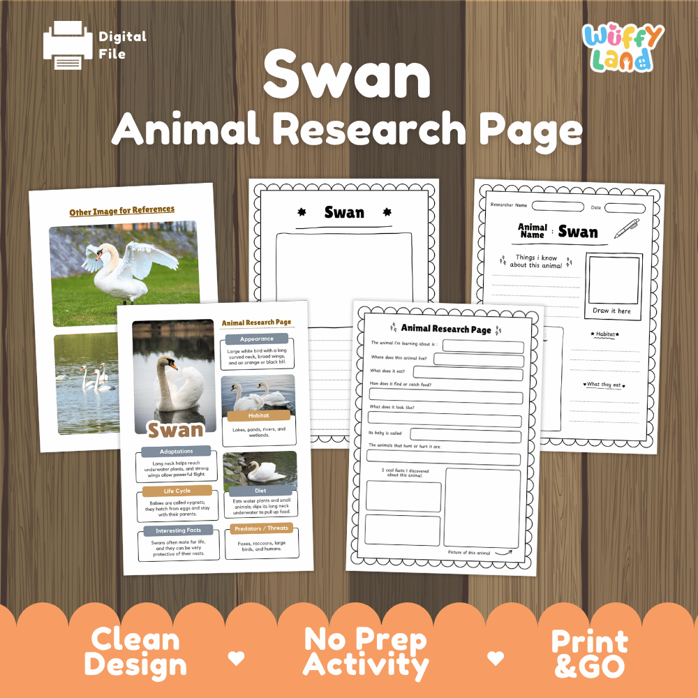 Swan Animal Research Page Worksheets