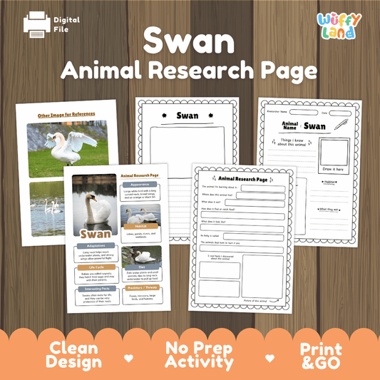 Swan Animal Research Page Worksheets
