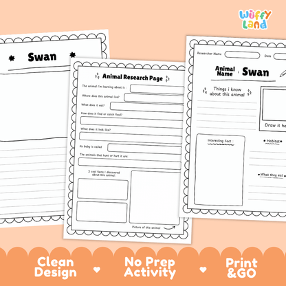 Swan Animal Research Page Worksheets