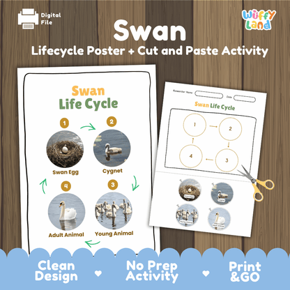 Swan Life Cycle Poster and Cut and Paste Activity Worksheets