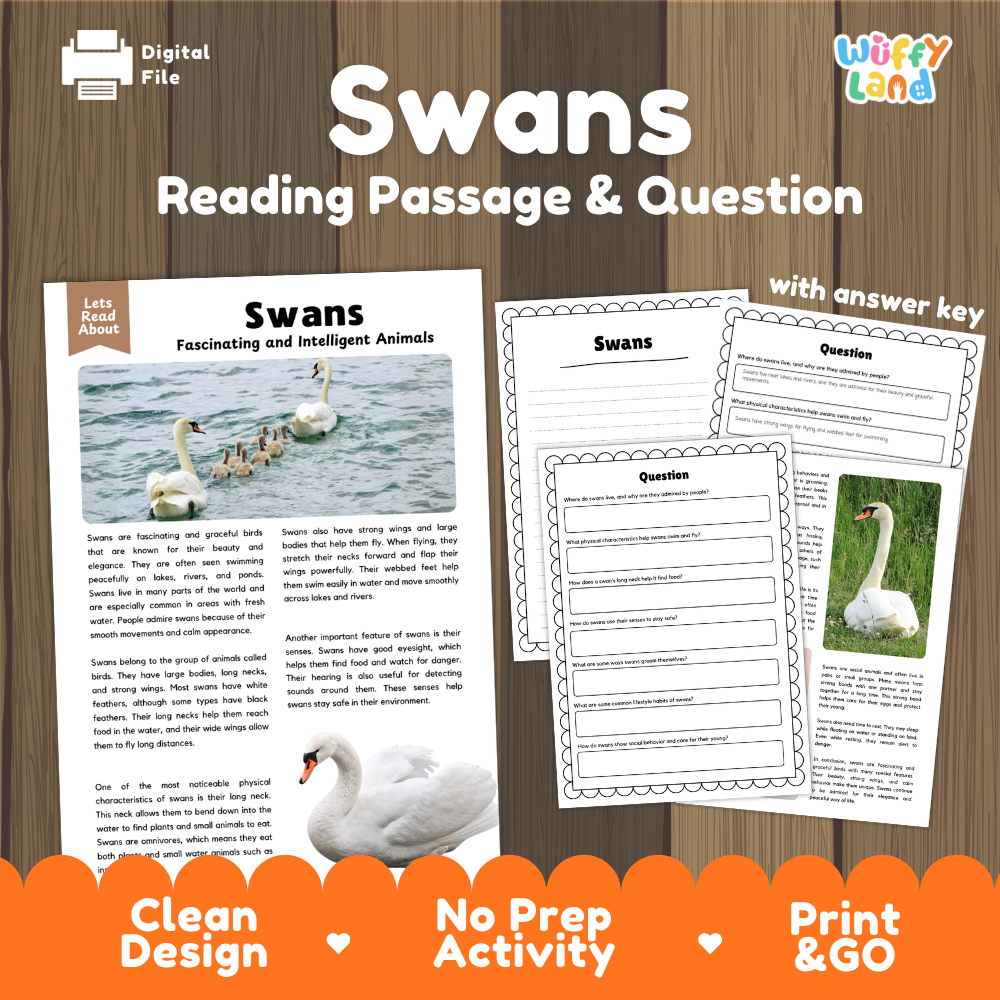 Swans Reading Passage and Comprehension Questions with Answer Key