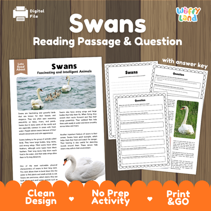 Swans Reading Passage and Comprehension Questions with Answer Key