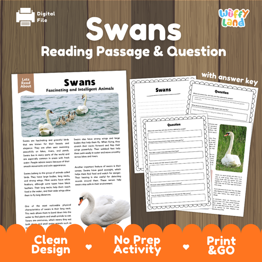 Swans Reading Passage and Comprehension Questions with Answer Key