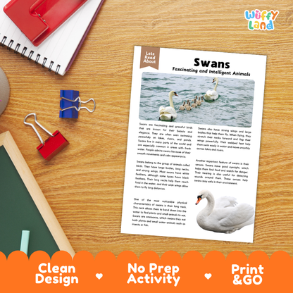 Swans Reading Passage and Comprehension Questions with Answer Key