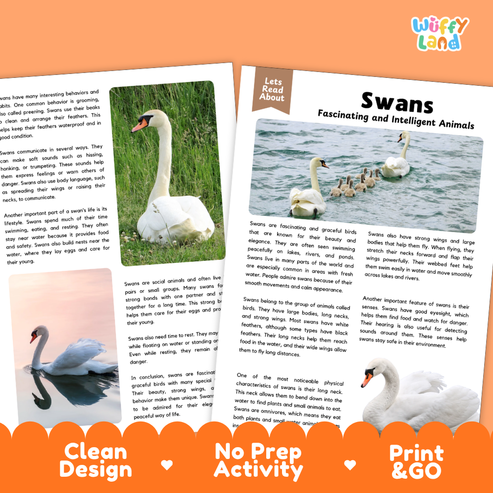 Swans Reading Passage and Comprehension Questions with Answer Key