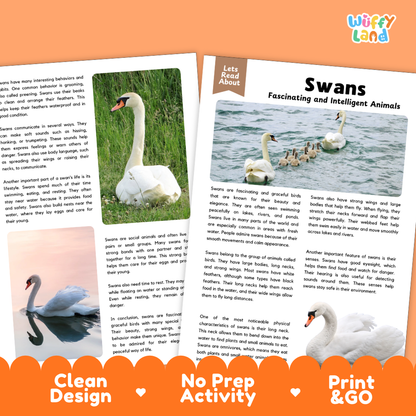 Swans Reading Passage and Comprehension Questions with Answer Key