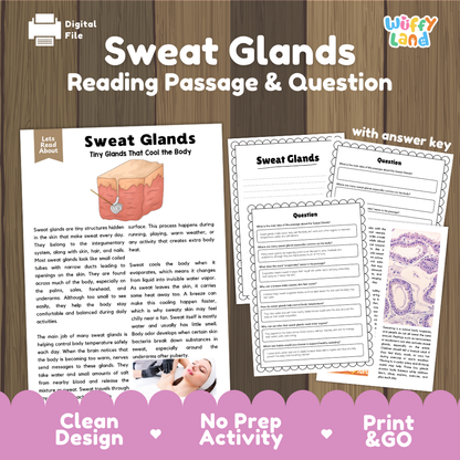Sweat glands reading comprehension passage and questions printable activity pack with answer key for elementary students