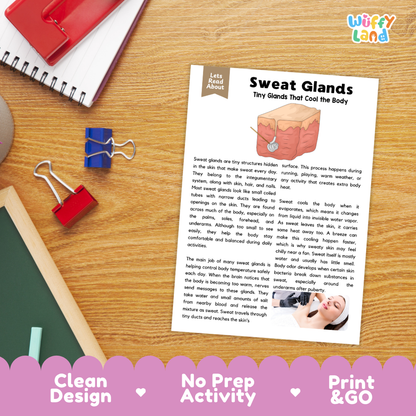 Student reading comprehension worksheet with short-answer questions and lined sections about human sweat glands