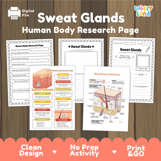 Sweat Glands Human Body Research Page Worksheets and Reference Sheets