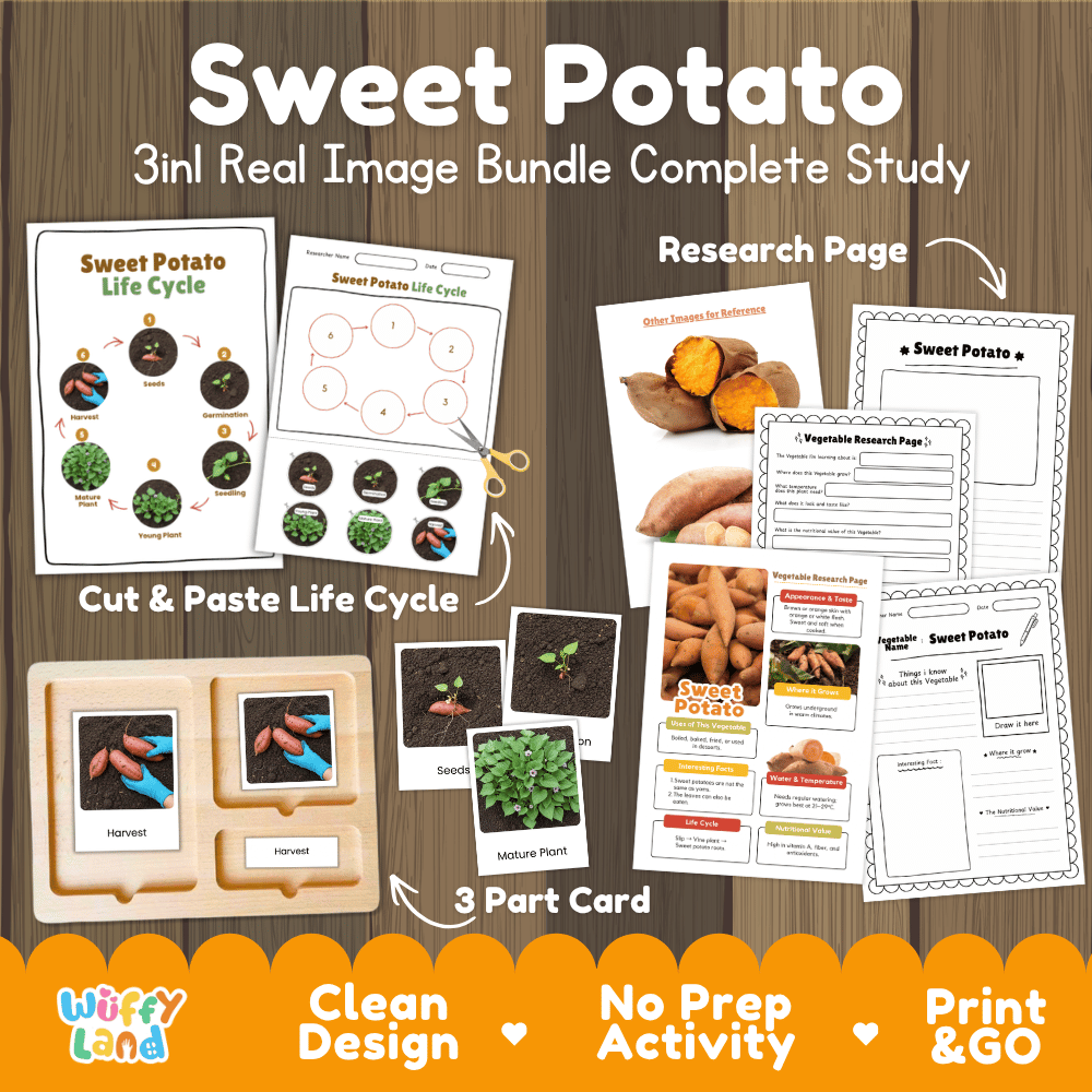 Sweet potato 3in1 real image bundle complete study printable featuring life cycle cut and paste worksheets, Montessori 3-part cards, and research pages