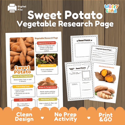 Sweet Potato Vegetable Research Page Science Worksheets and Fact Sheet