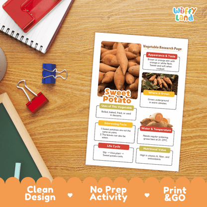 Sweet Potato Vegetable Research Page Science Worksheets and Fact Sheet