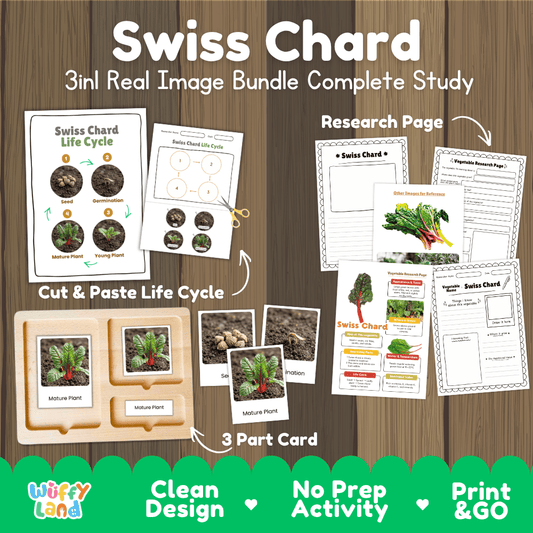 Swiss chard 3in1 real image bundle complete study printable featuring life cycle cut and paste worksheets, Montessori 3-part cards, and research pages