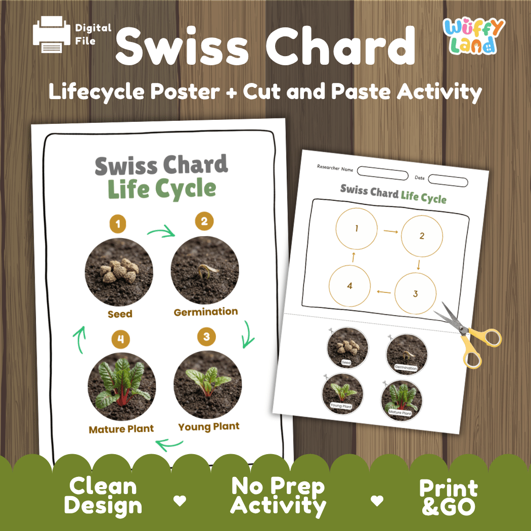 Swiss chard plant life cycle educational printable pack cover showing visual reference poster and cut and paste sequencing worksheet with real photography