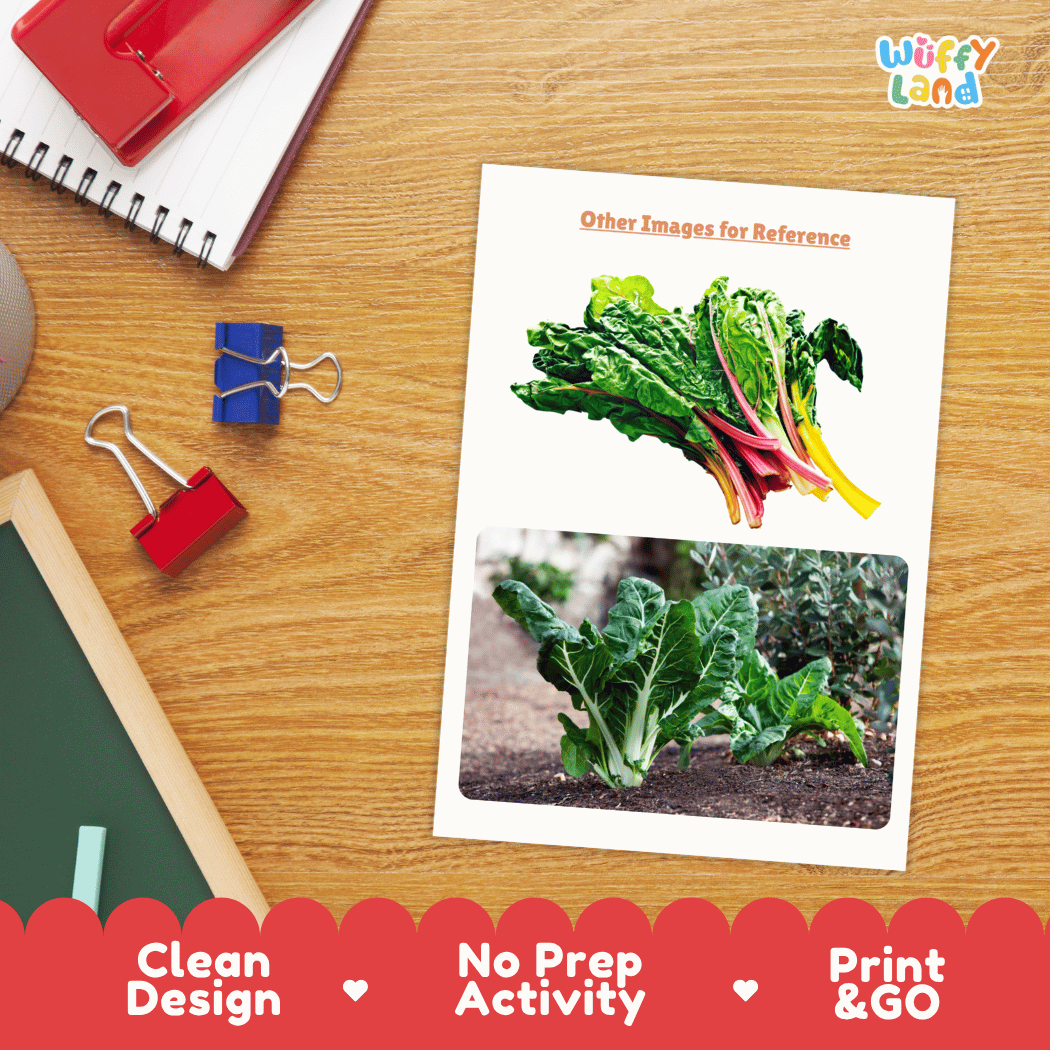 Swiss Chard Vegetable Research Worksheets and Informational Fact Sheets