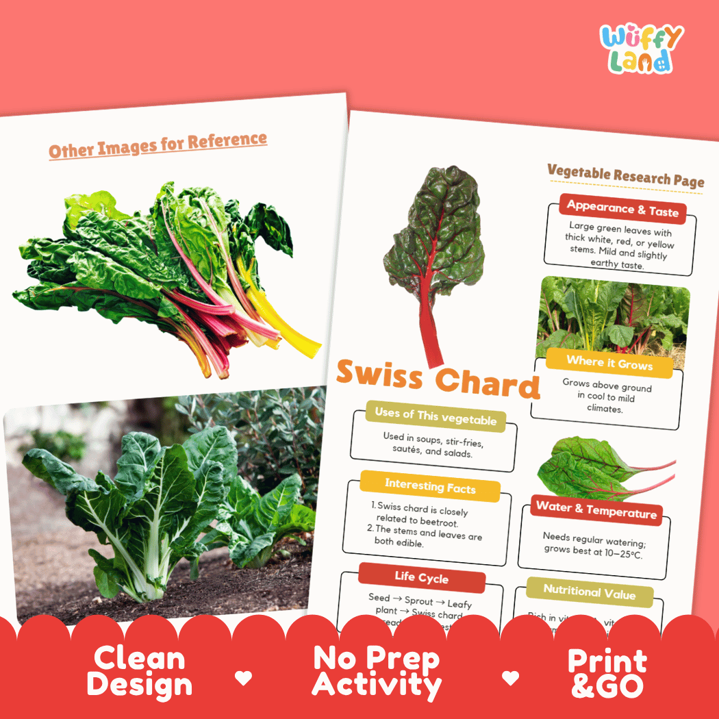 Swiss Chard Vegetable Research Worksheets and Informational Fact Sheets
